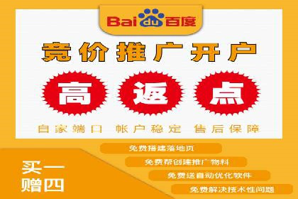 百度广告竞价策略解析与应用案例